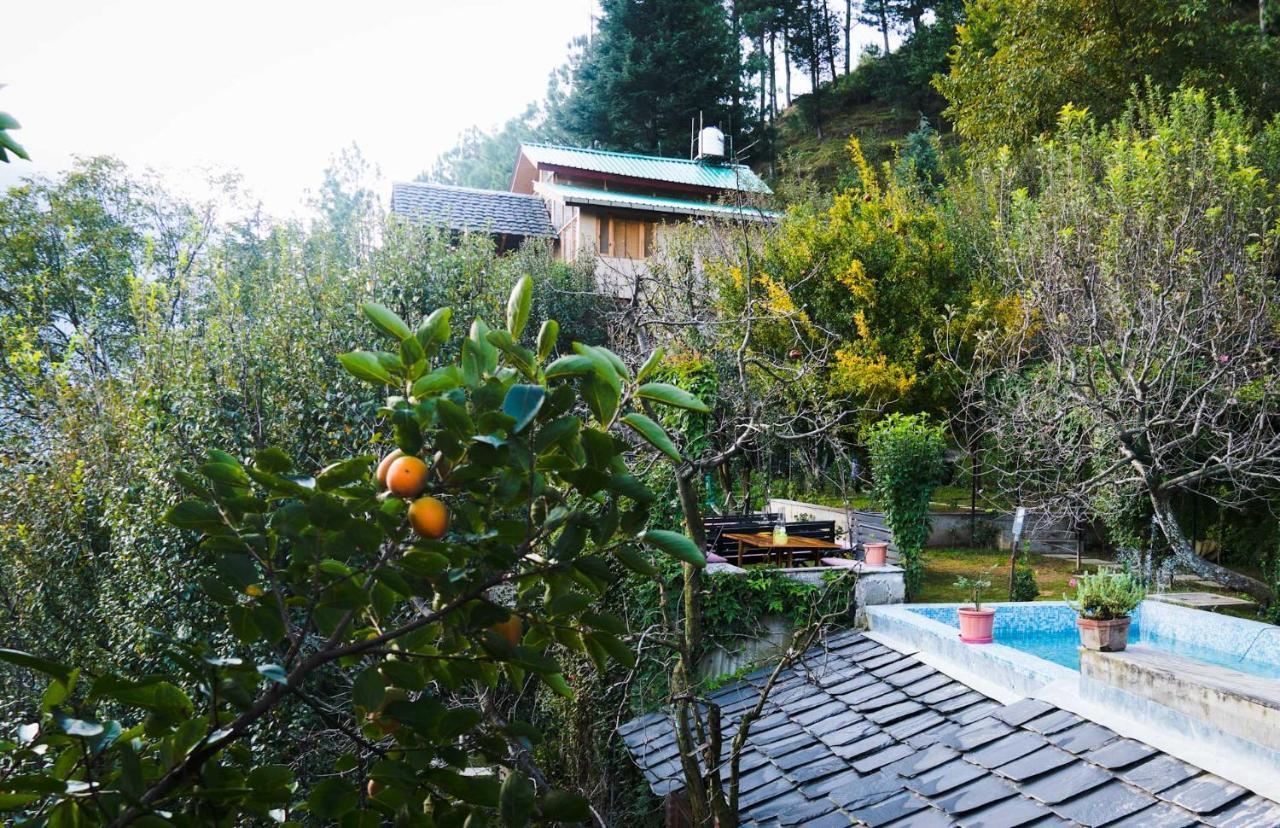 Autumnred Cottage Manali Exteriör bild