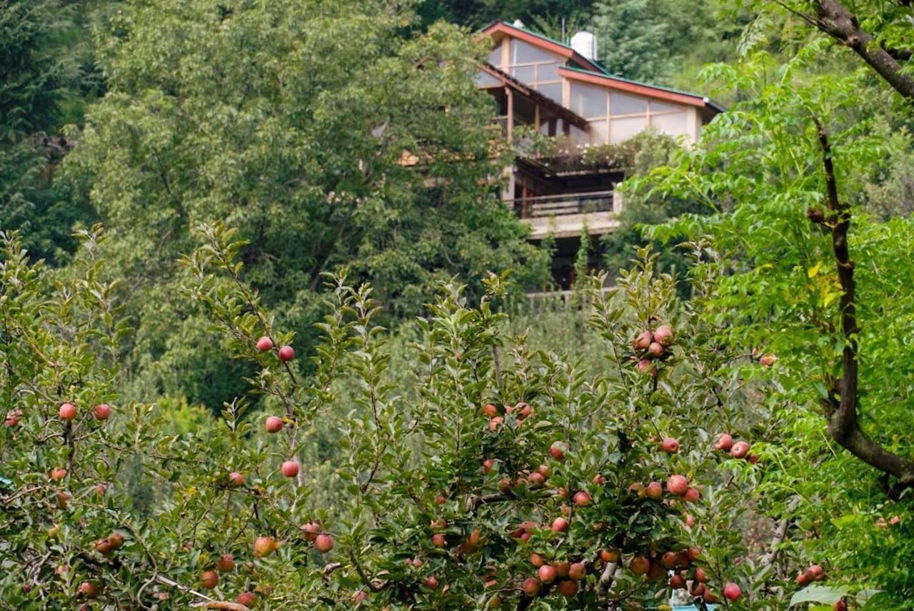 Autumnred Cottage Manali Exteriör bild